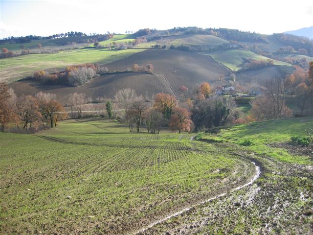 stromende bergbeken