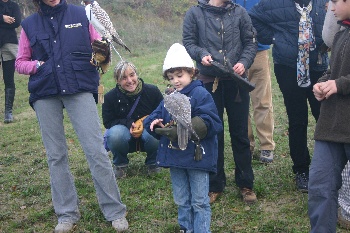 jochie van 5 met een valk