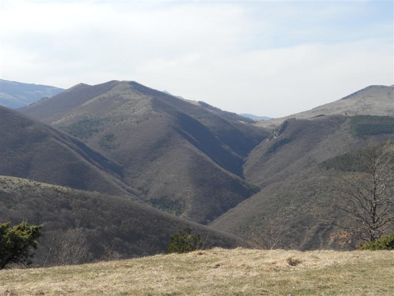 monte gioca del pallone