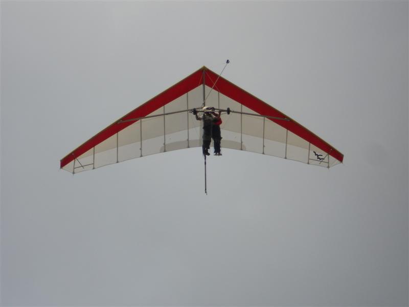 Elisa Hoogenraad in vogelvlucht